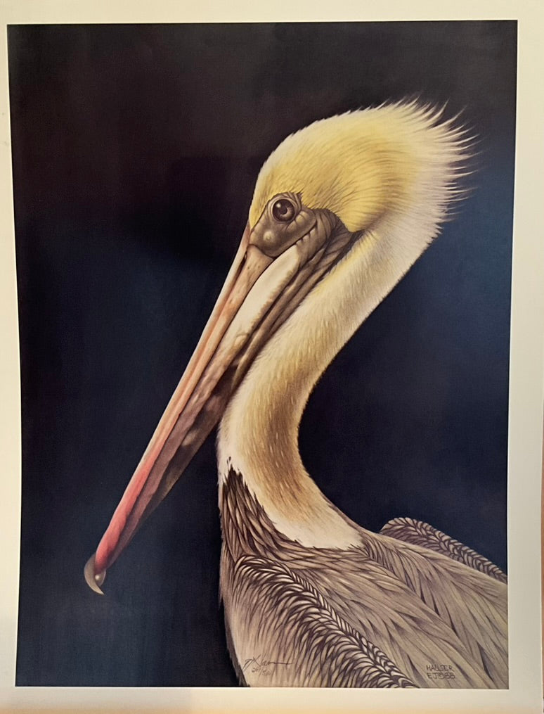 EJ Hauser "Pelican" Print