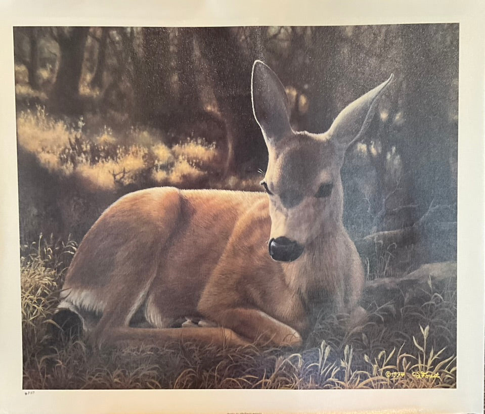 Crista Forest "A Quiet Place"