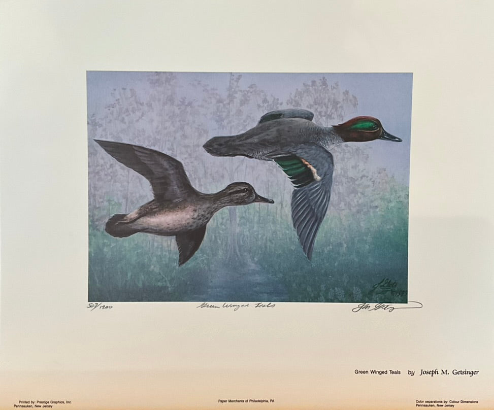 Joseph Getsinger "Green Winged Teals" Print