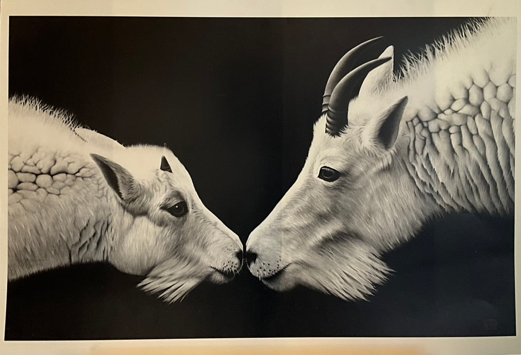 EJ Hauser "Goat and Kid Kissing" Print