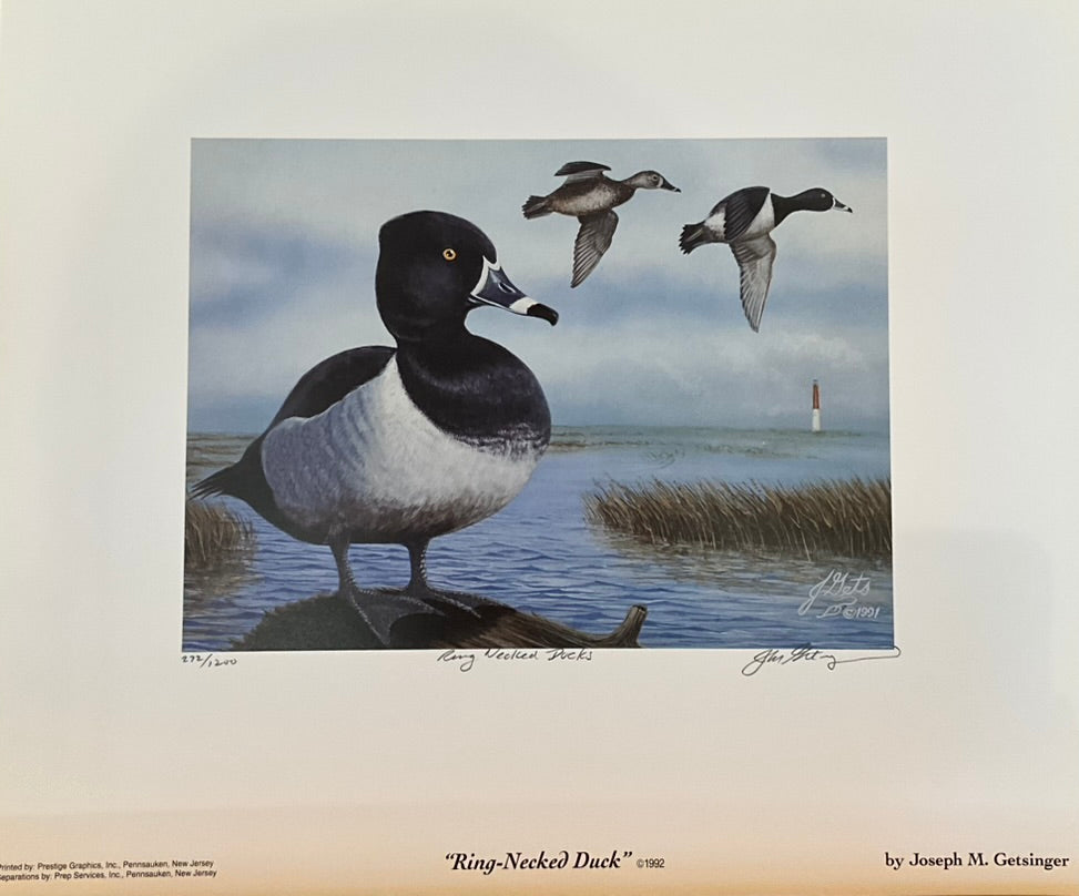 Joseph Getsinger "Ring Necked Duck" Print