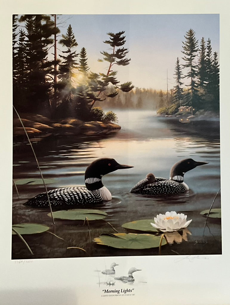 Leo Stans "Morning Lights" Print