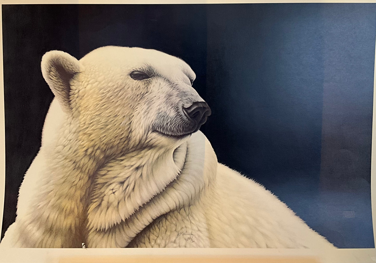 EJ Hauser "Polar Bear" Print
