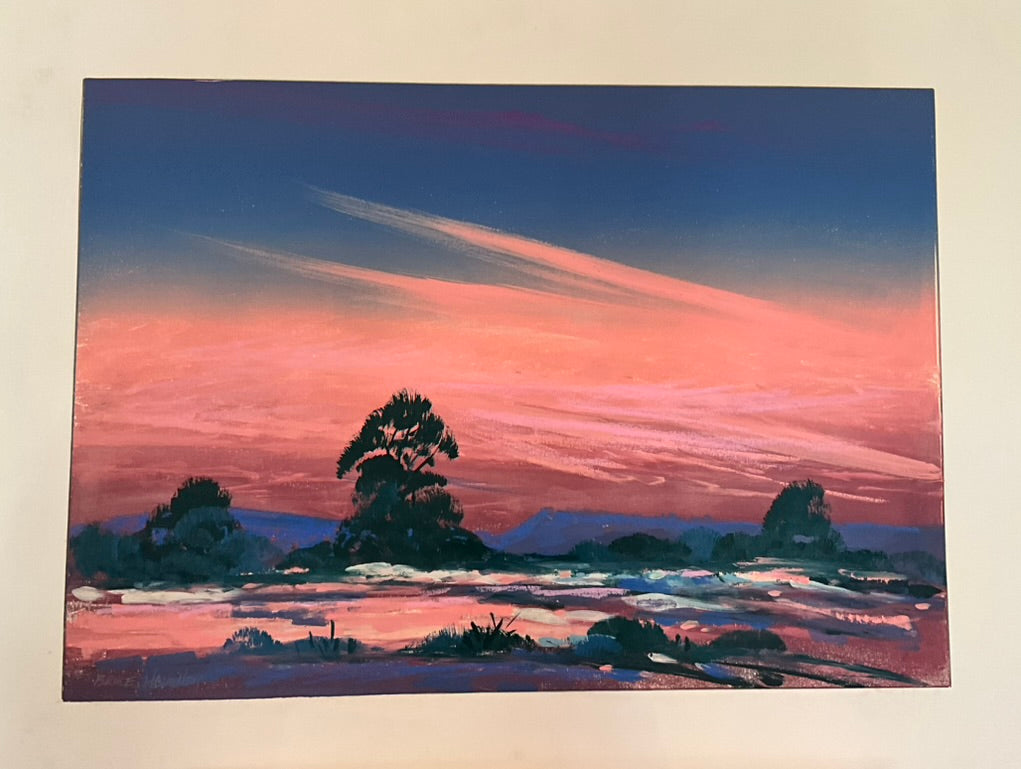 Bruce Haughey "Arizona Desert 2"