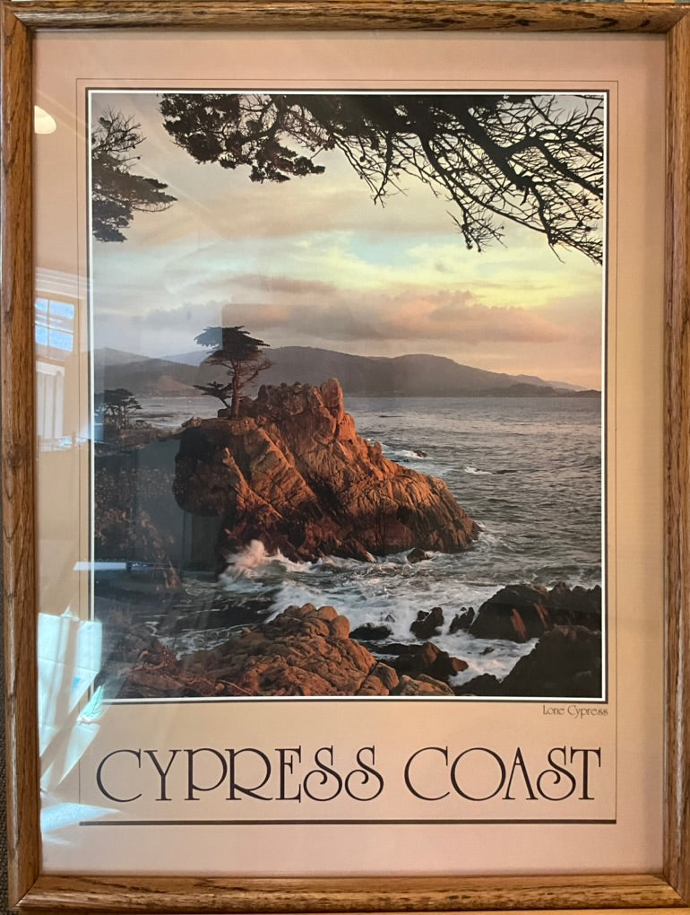 "Cypress Coast-Lone Cypress" Photograph