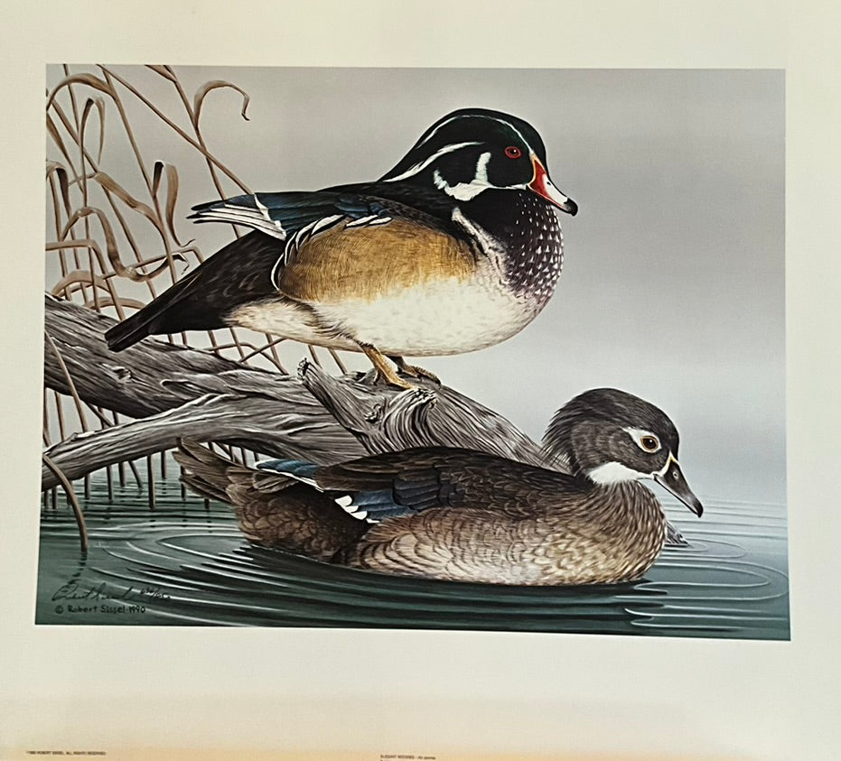 Robert Sissell "Elegant Woodies"