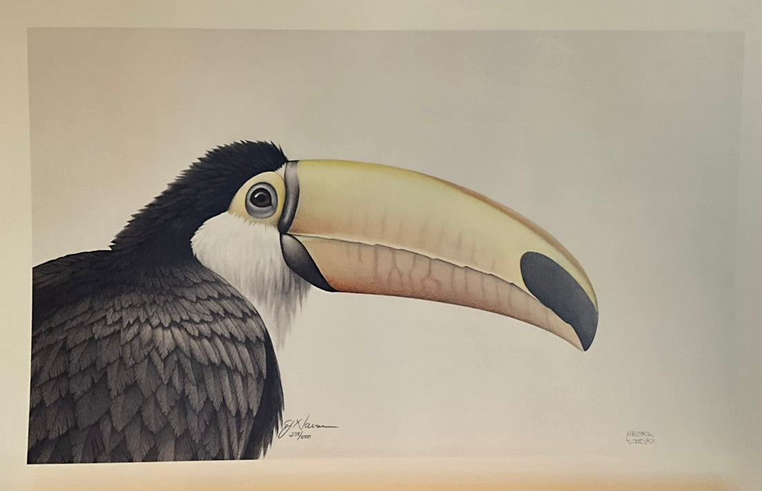 EJ Hauser "Toucan" Print