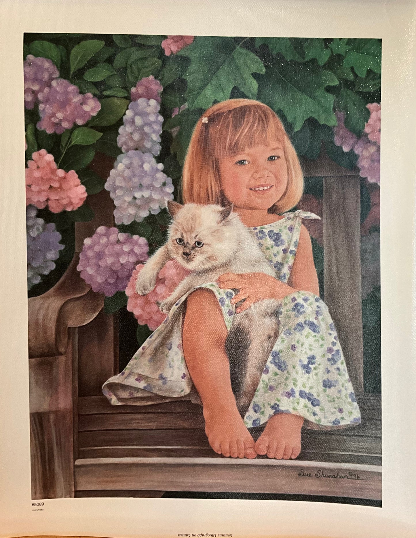 Sue Shanahan "Cuddly Kitten"