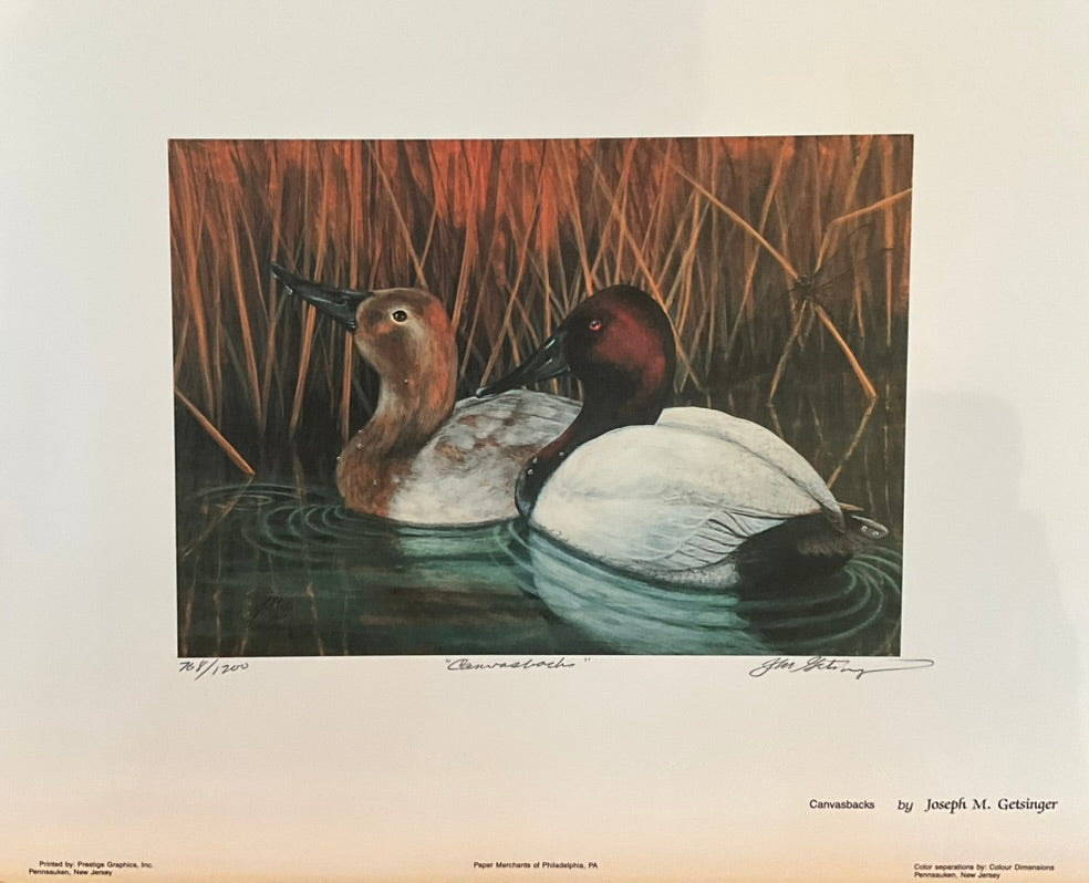 Joseph Getsinger "Canvasbacks" Print
