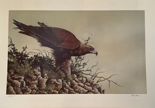 Fran Oden "Hawk"