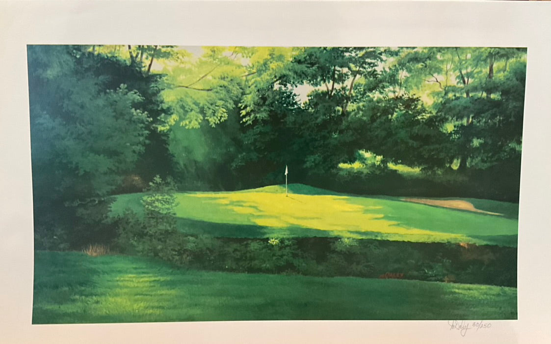 M Daley "View of the Hole Across Rough"