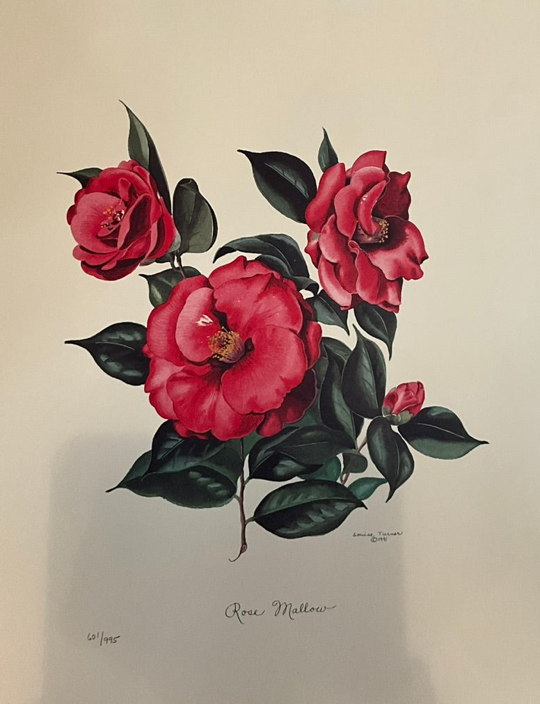 Louise Turner "Rose Mallow"
