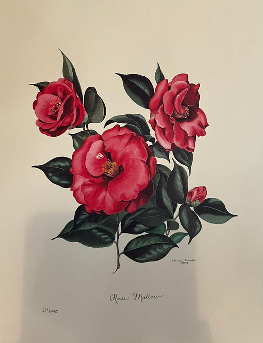 Louise Turner "Rose Mallow"