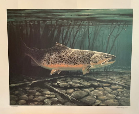 Geoff Hager "Rainbow Trout"