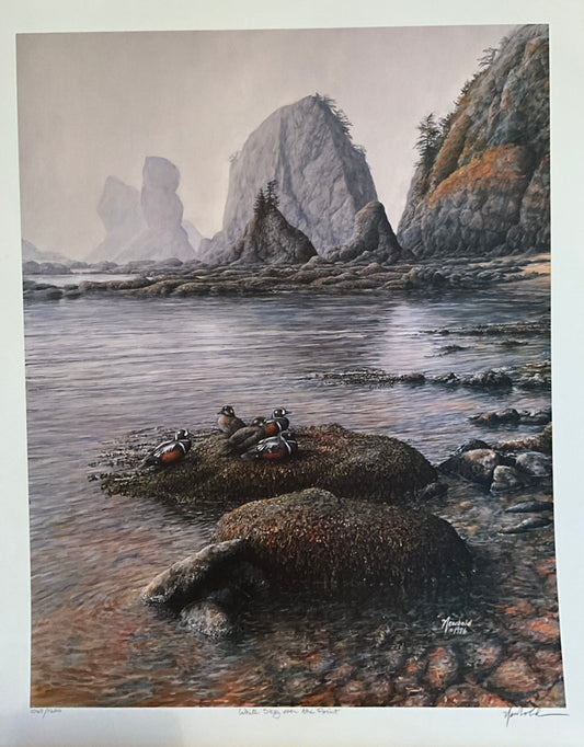 Ed Newbold "White Sky Over the Point"
