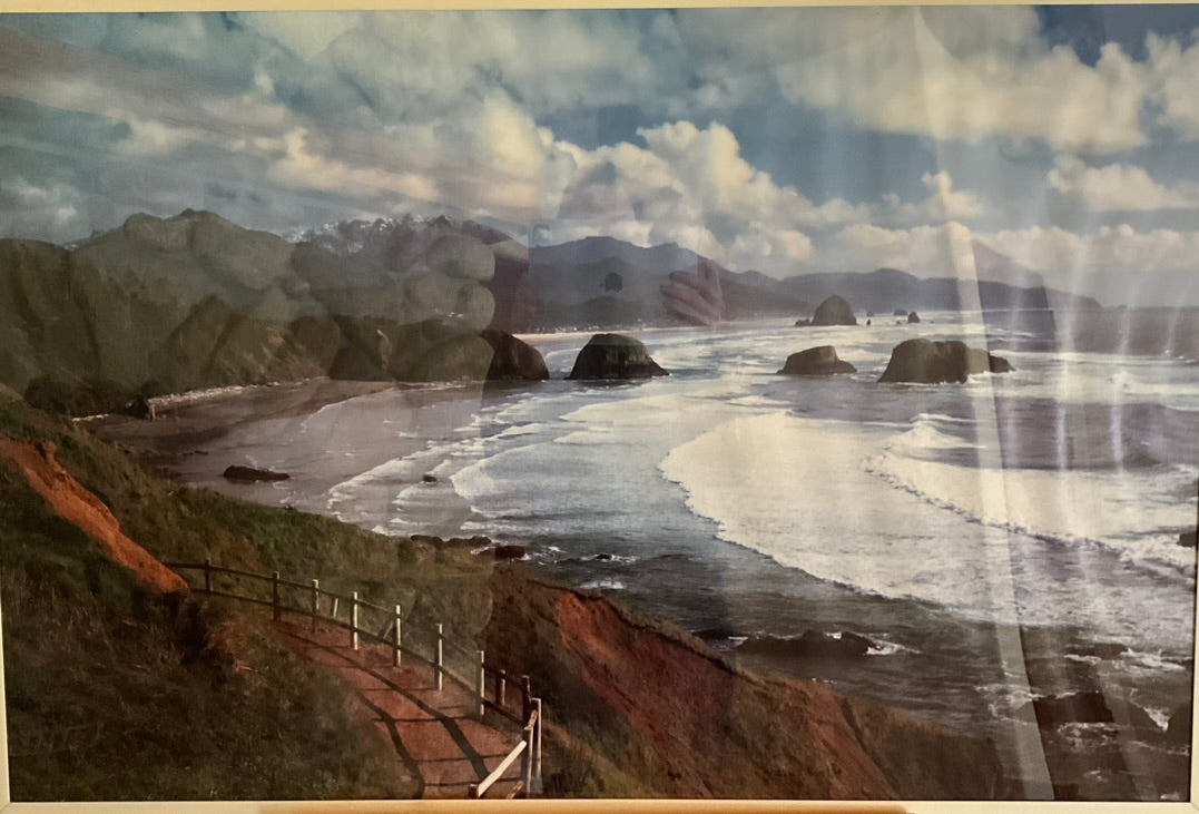 "Coastal Ocean Trail" Photograph
