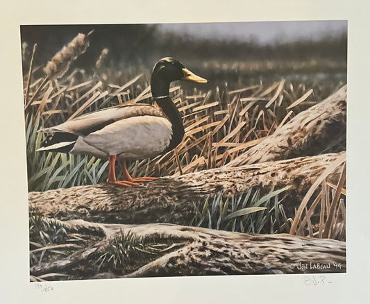 Copy of Jon LaBeau "Duck on Log in Reeds" Print