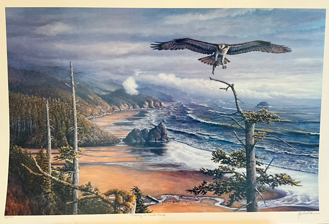 Ed Newbold "Osprey at Castle Rock"