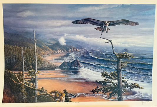 Ed Newbold "Osprey at Castle Rock"