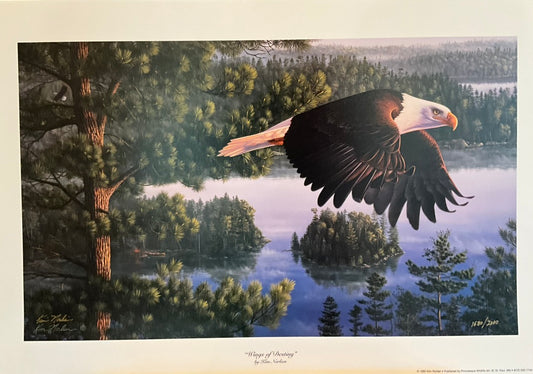 Kim Norlien "Wings of Destiny" Print