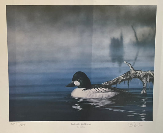 Jon LaBeau "Backwater Goldeneye" Print