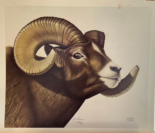 EJ Hauser "Ram" Print