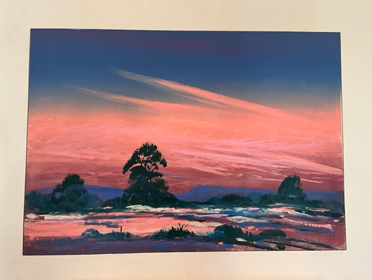 Bruce Haughey "Arizona Desert 2"