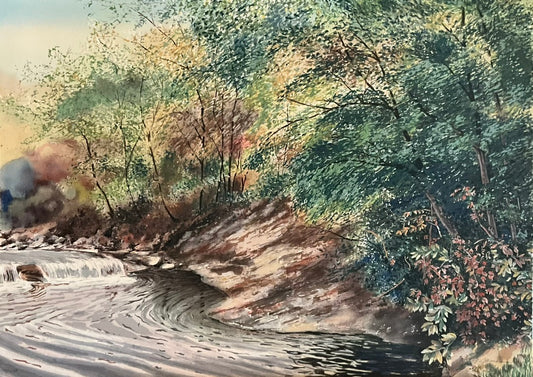 Emily James "Madison Creek, IL Left"