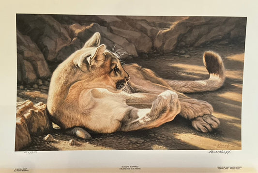 Paul Krapf "Caught Napping" Print