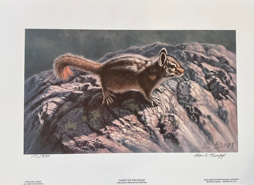Paul Krapf "Chippy on the Rocks" Print