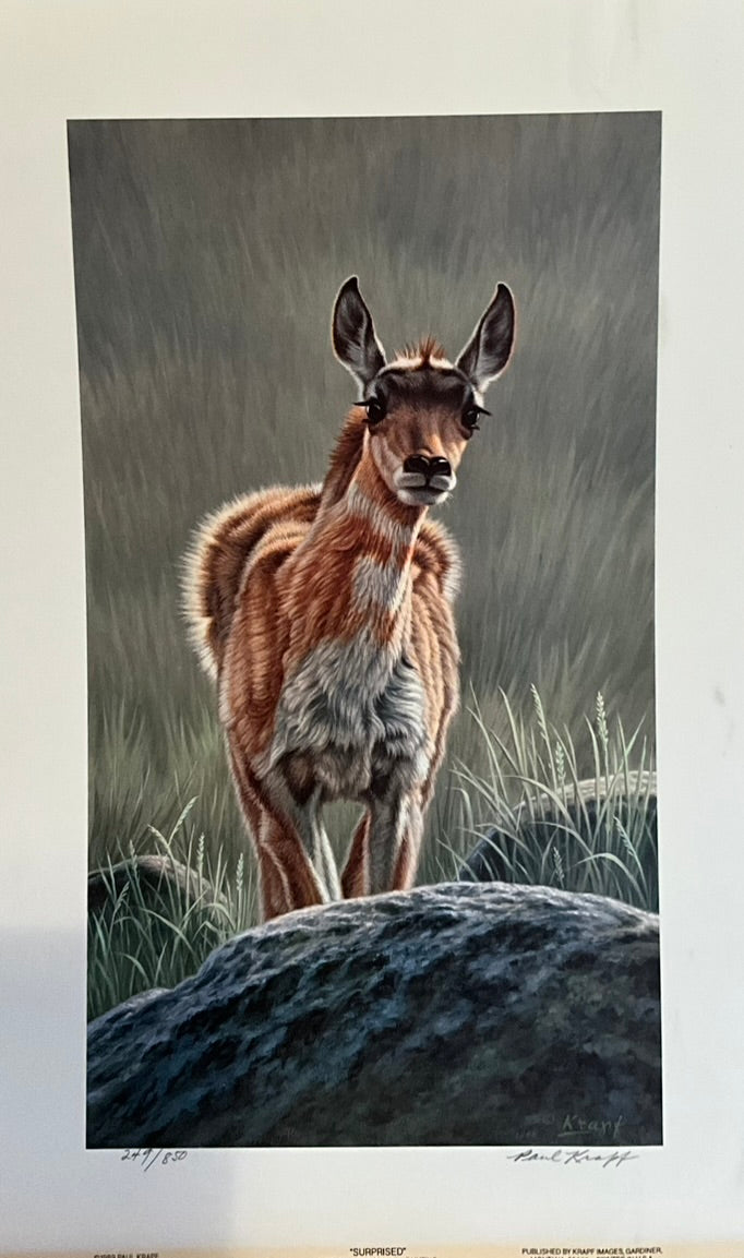 Paul Krapf "Surprised" Print