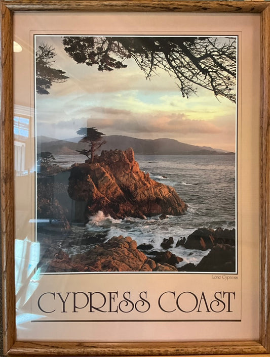 "Cypress Coast-Lone Cypress" Photograph