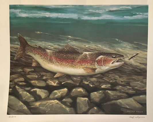 Geoff Hager "About to Bite on the Line-Rainbow Trout II"