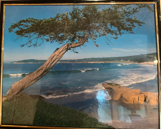 "Carmel Beach" Photograph