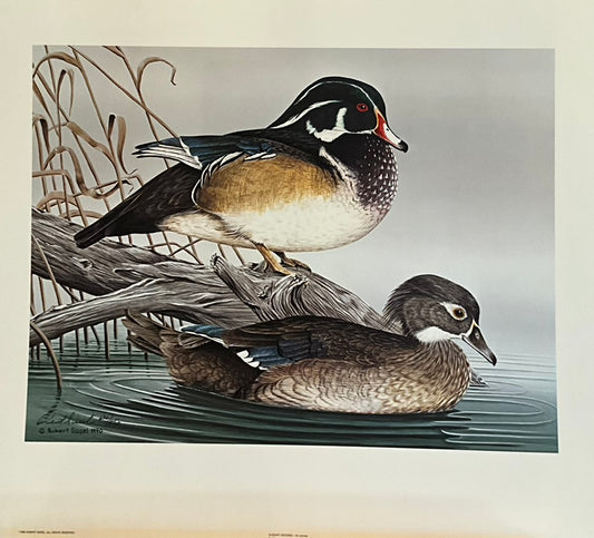 Robert Sissell "Elegant Woodies"