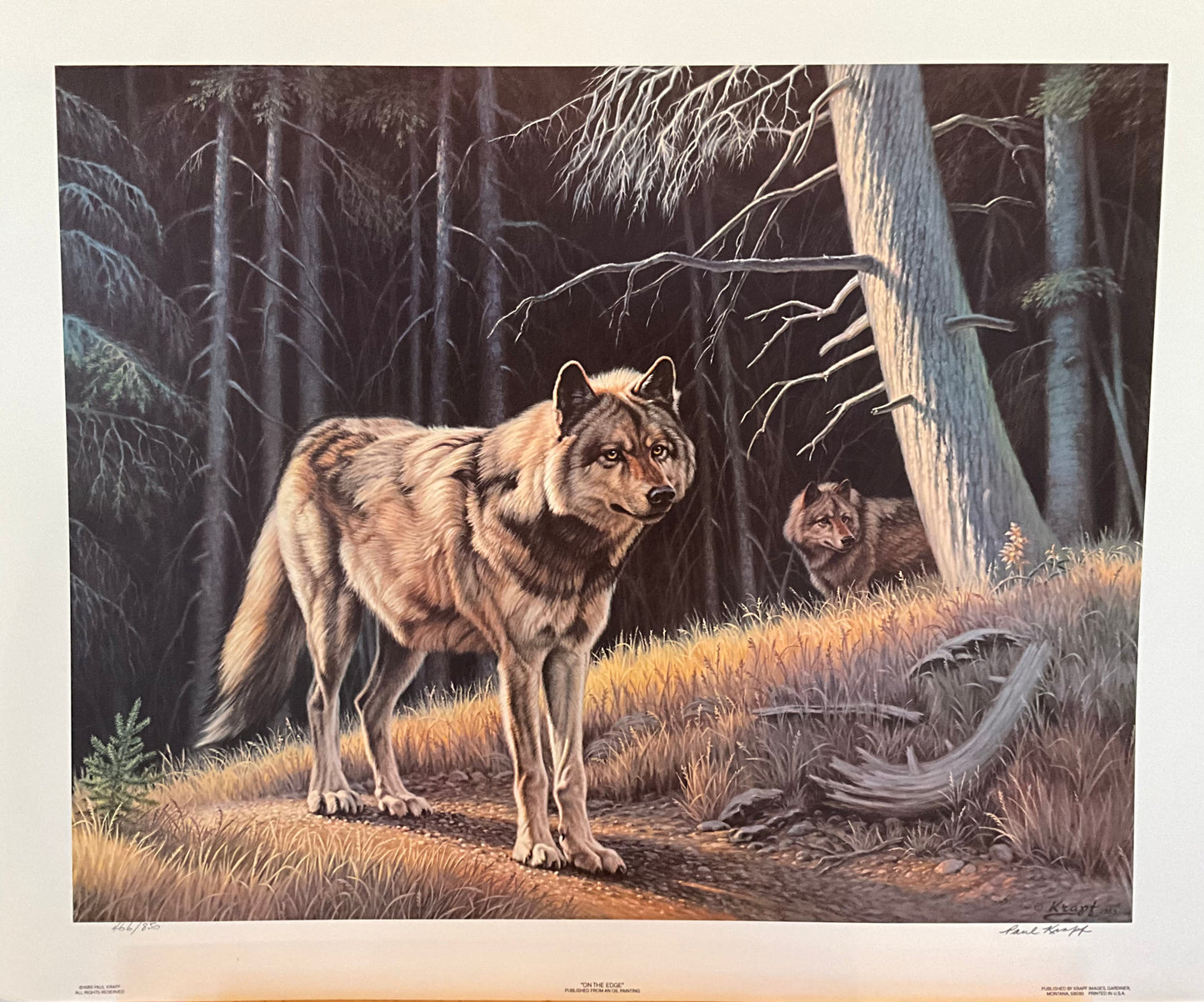 Paul Krapf "On the Edge" Print