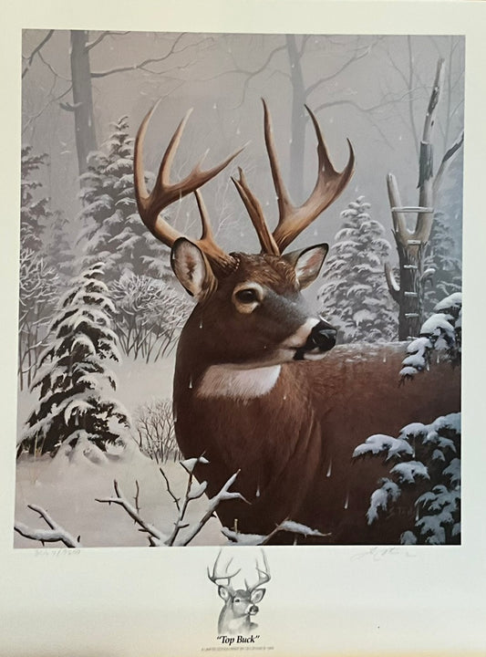 Leo Stans "Top Buck" Print