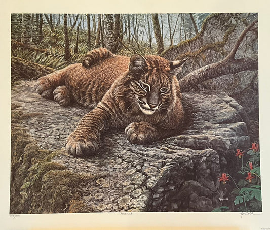 Ed Newbold "Bobcat"