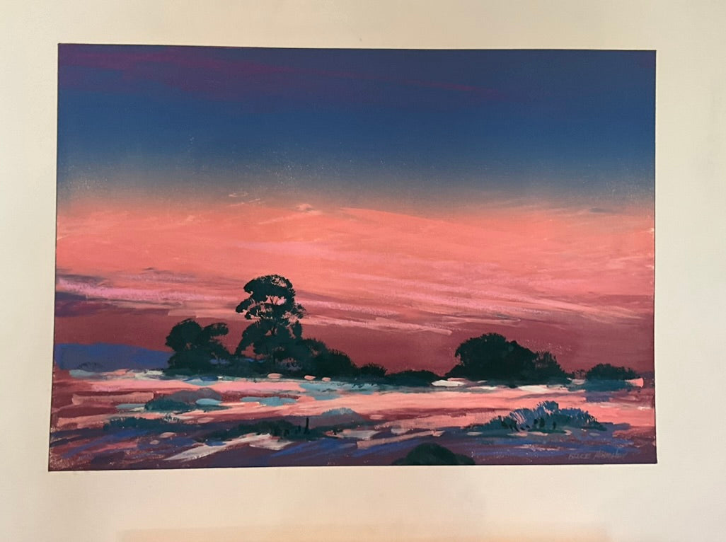 Bruce Haughey "Arizona Desert 1"