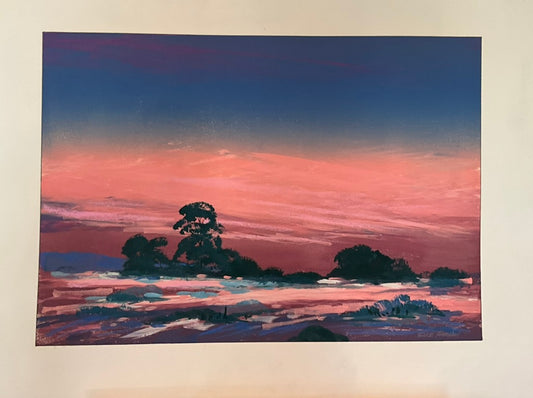 Bruce Haughey "Arizona Desert 1"